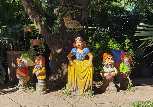 Tijuca